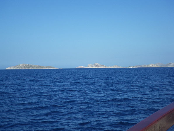 Segelyacht-mit-Skipper-Nature-20