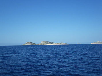 Segelyacht-mit-Skipper-Nature-21