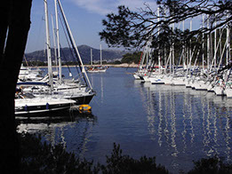 Segelyacht-mit-Skipper-Nature-35