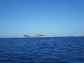 Segelyacht-mit-Skipper-Nature-21