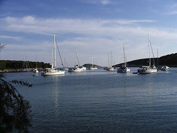 Segelyacht-mit-Skipper-Nature-36