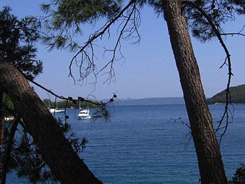 Segelyacht-mit-Skipper-Nature-05