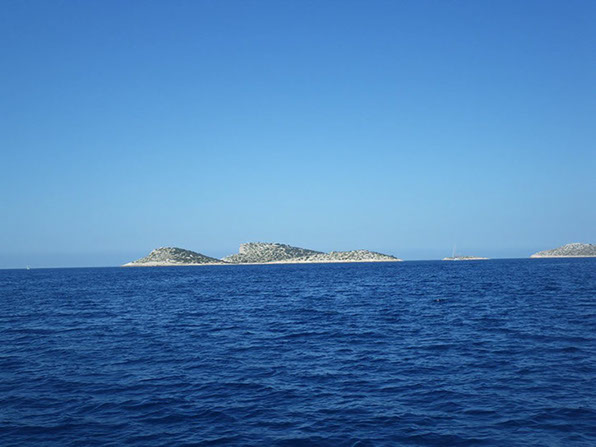Segelyacht-mit-Skipper-Nature-21